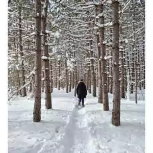 A Solitary Walk (Obituary Card)