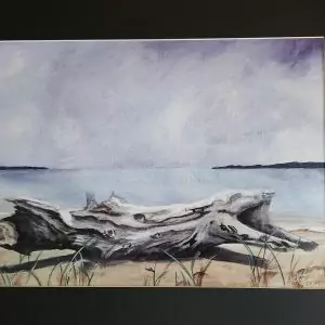 Batchawana Bay Driftwood print