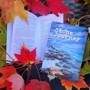 Stone Journey (novel)