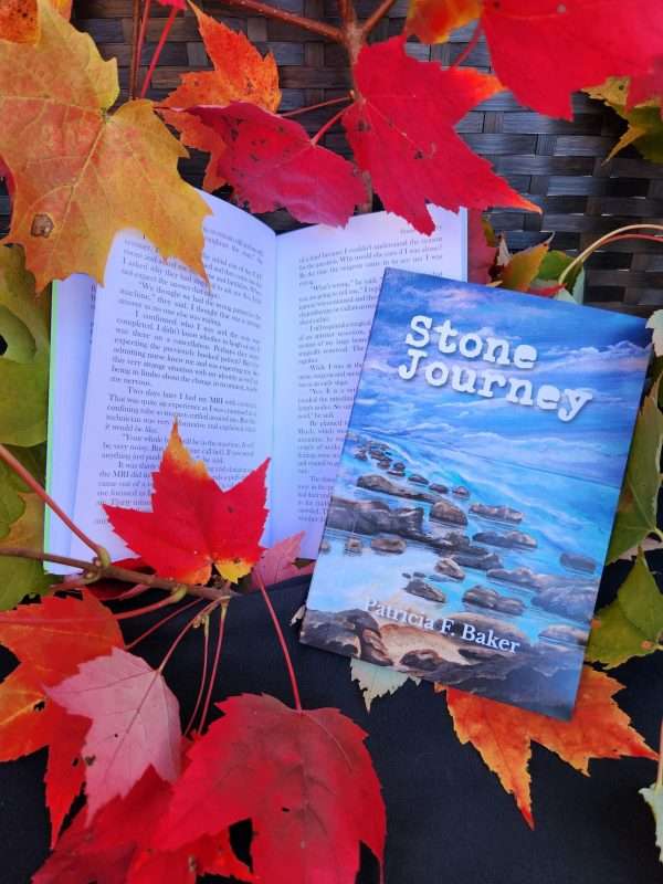 Stone Journey (novel)